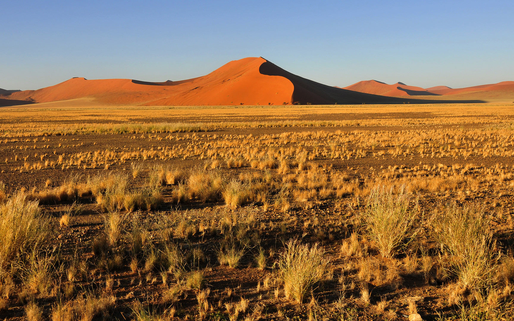 Sonnenaufgang in der Namib