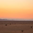 Sonnenaufgang in der Namib