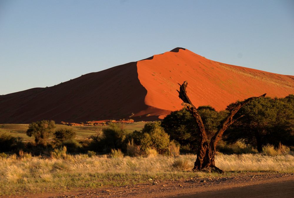 Sonnenaufgang in der Namib-Wüste