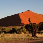 Sonnenaufgang in der Namib-Wüste