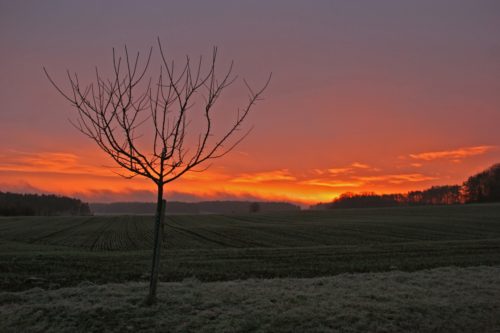 Sonnenaufgang in der Oberpfalz (1)