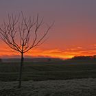 Sonnenaufgang in der Oberpfalz (1)