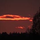 Sonnenaufgang in der Oberpfalz...