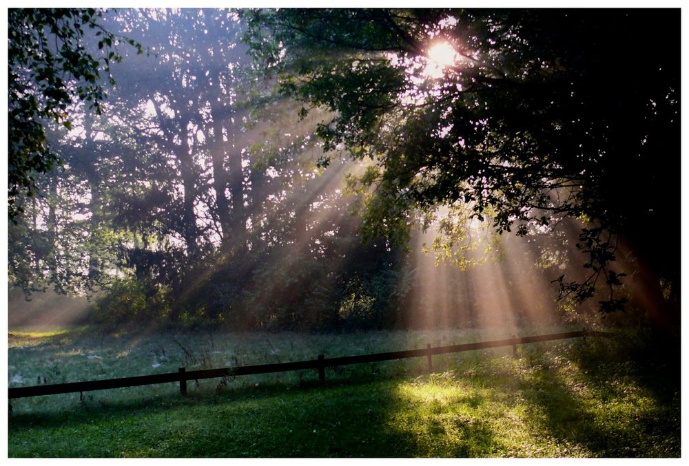 Sonnenaufgang in der Ohligser Heide (Solingen)