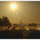 Sonnenaufgang in der Ortenau....