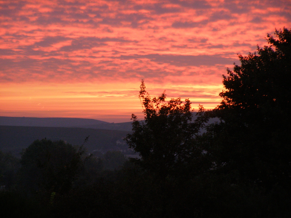 Sonnenaufgang in der Pfalz