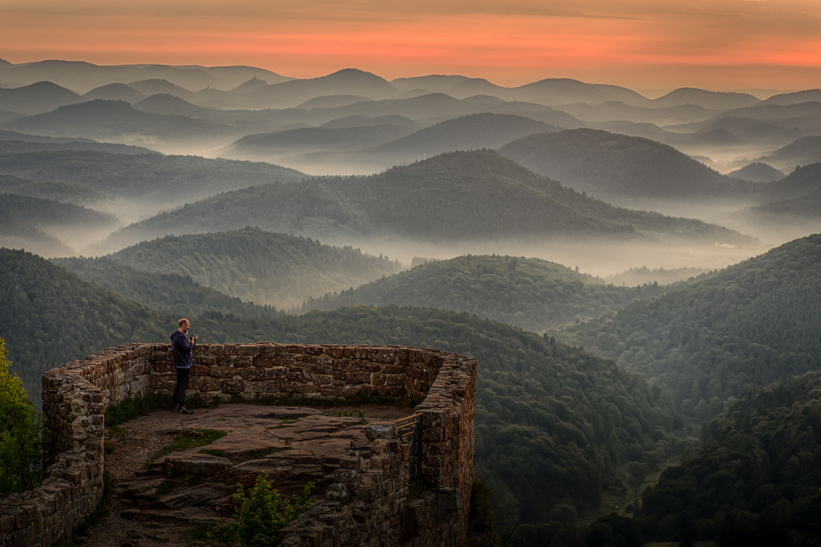 Sonnenaufgang in der Pfalz