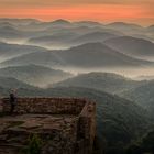 Sonnenaufgang in der Pfalz