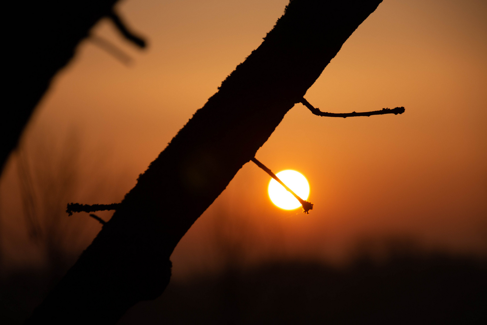 Sonnenaufgang in der Potsdamer Mittelmark