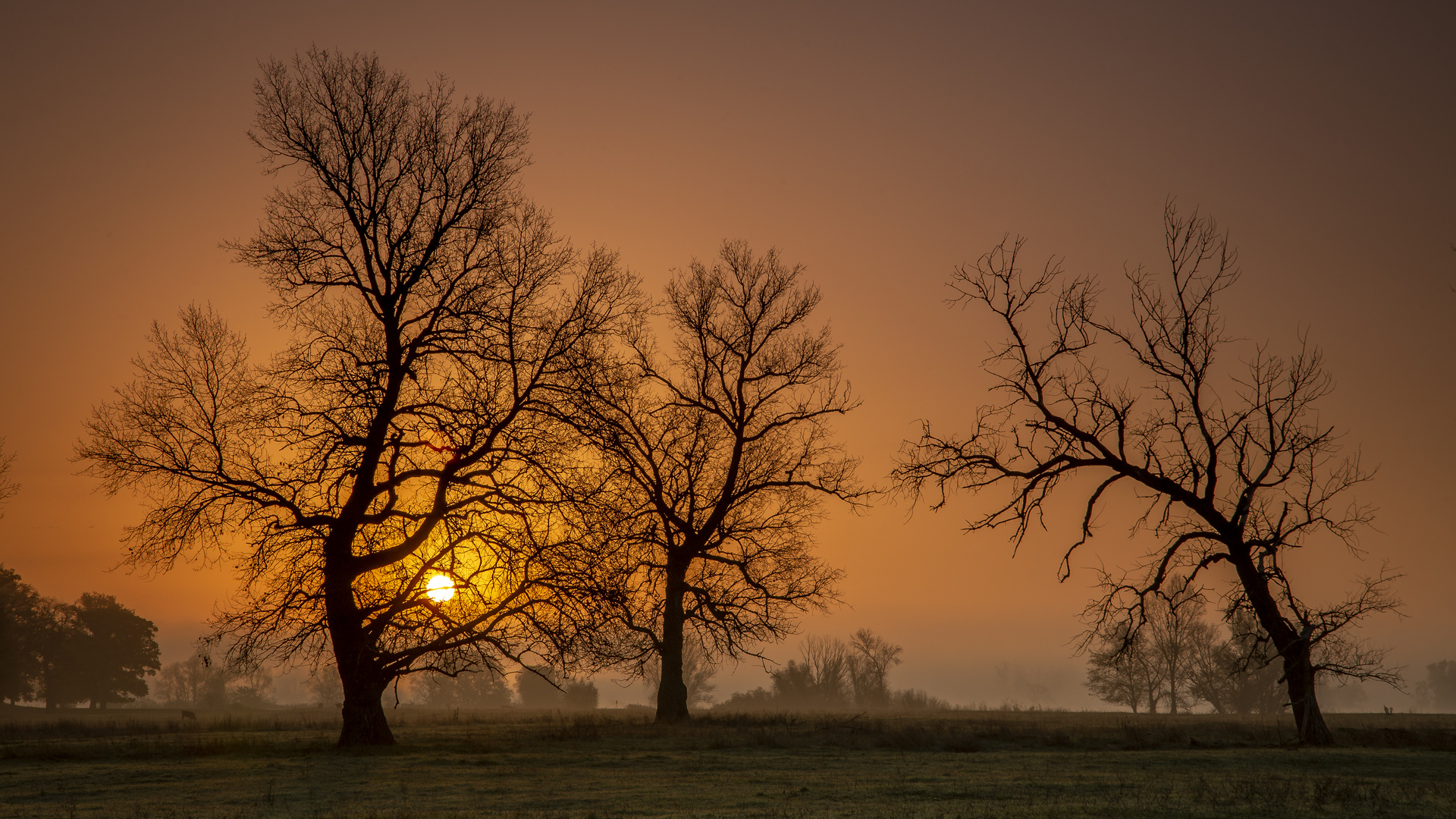 Sonnenaufgang in der Prignitz