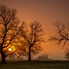 Sonnenaufgang in der Prignitz