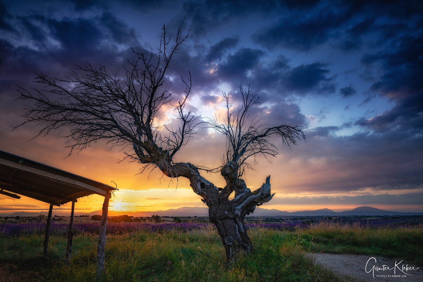 Sonnenaufgang in der Provence