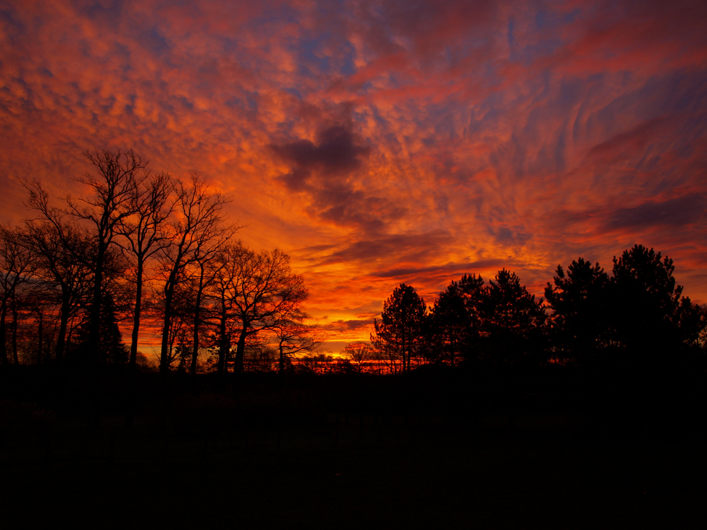 Sonnenaufgang in der Ried