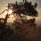 Sonnenaufgang in der Sächsischen Schweiz