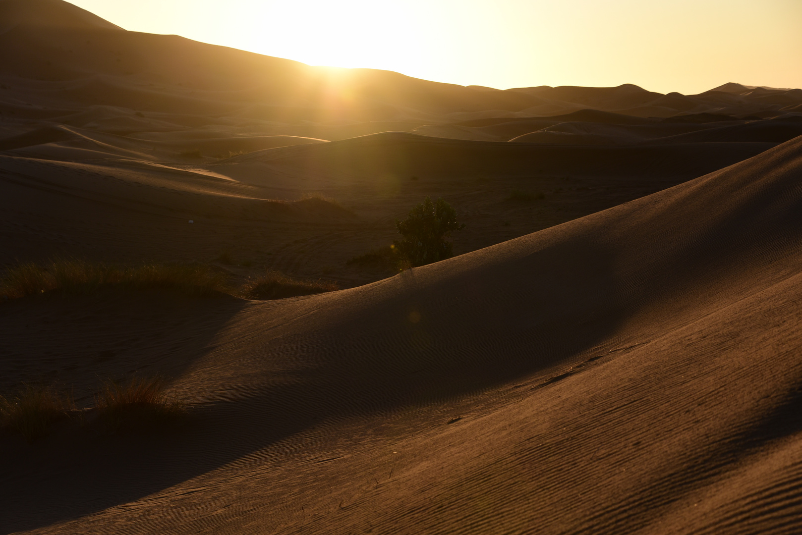 Sonnenaufgang in der Sahara