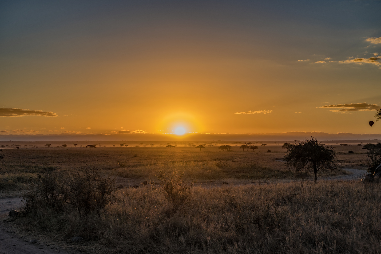 Sonnenaufgang in der Serengeti