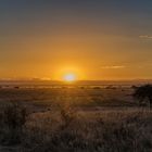 Sonnenaufgang in der Serengeti