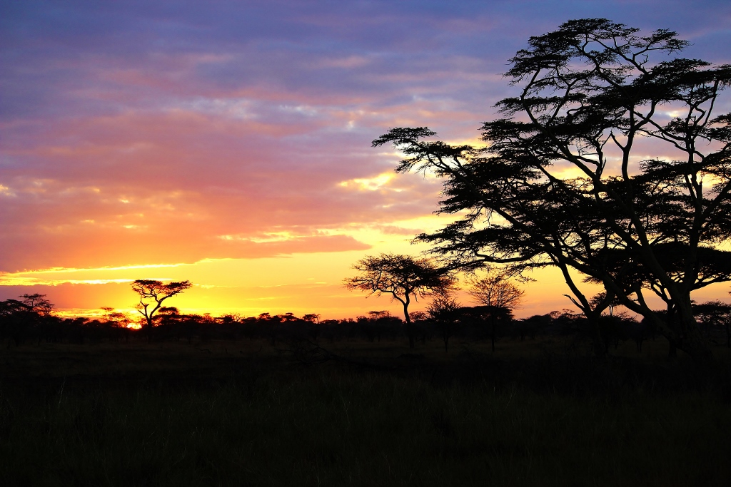 Sonnenaufgang in der Serengeti