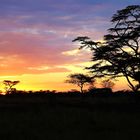 Sonnenaufgang in der Serengeti