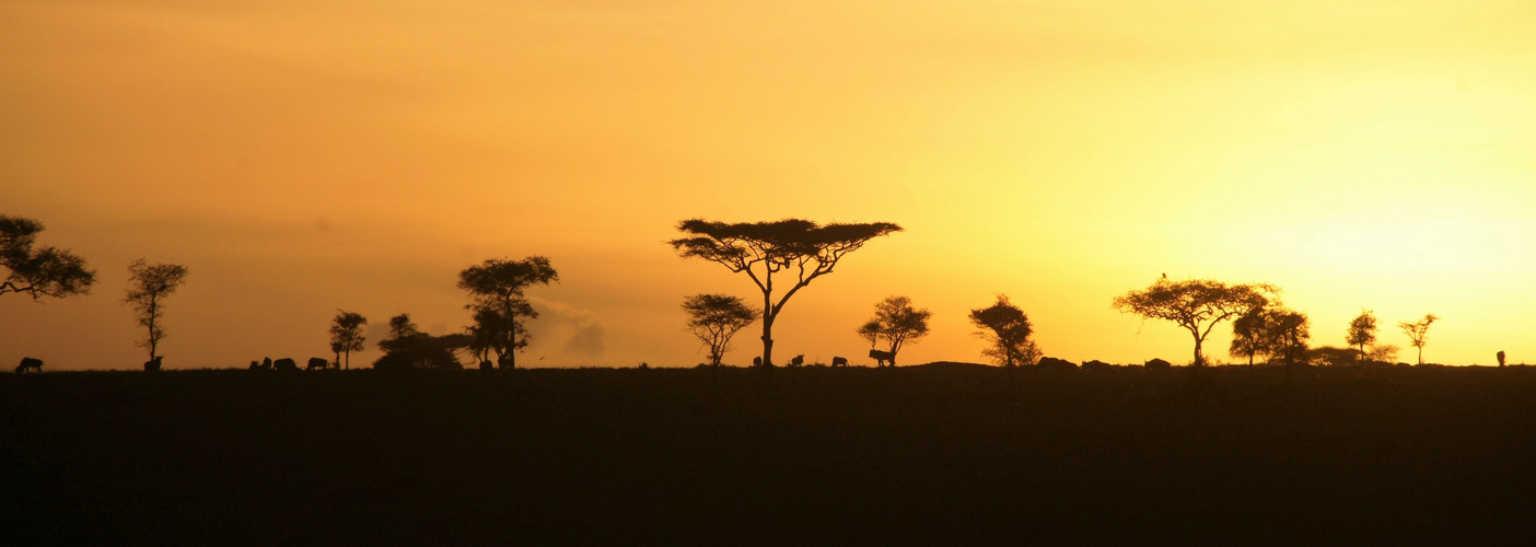 Sonnenaufgang in der Serengeti