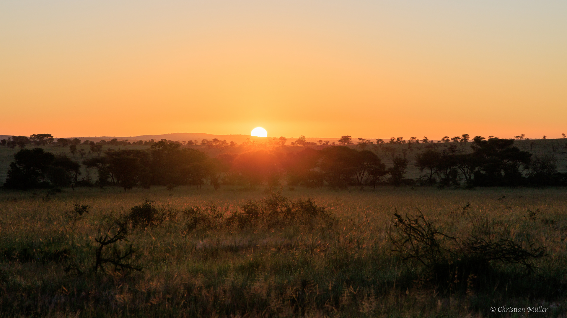 Sonnenaufgang in der Serengeti 2