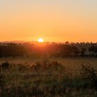 Sonnenaufgang in der Serengeti 2