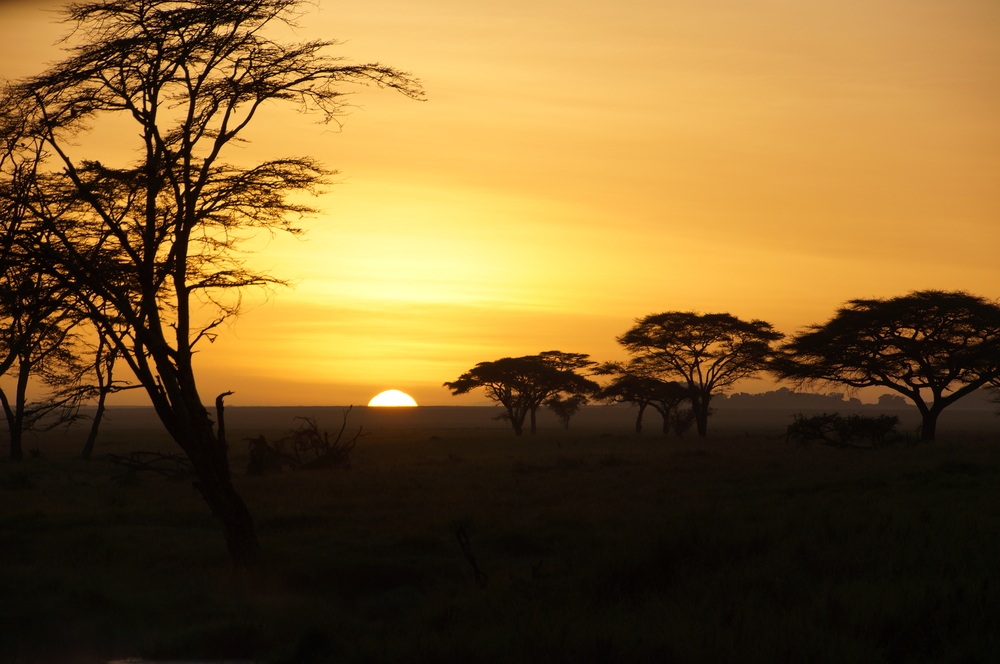 Sonnenaufgang in der Serengeti