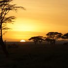 Sonnenaufgang in der Serengeti