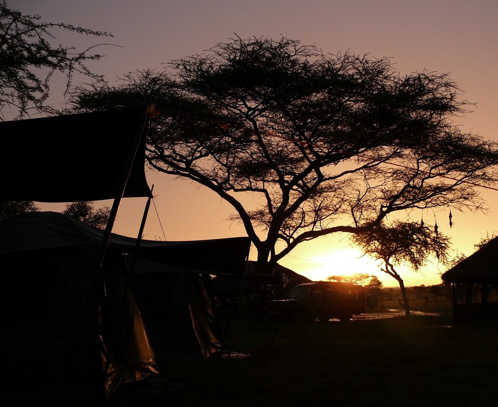 Sonnenaufgang in der Serengeti
