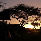 Sonnenaufgang in der Serengeti