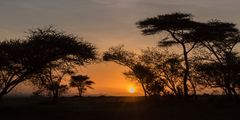 Sonnenaufgang in der Serengeti