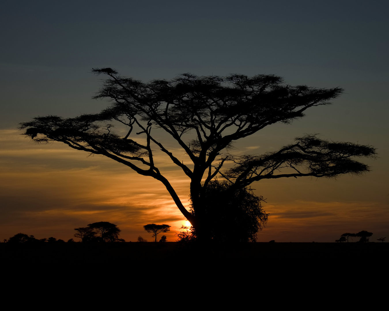 Sonnenaufgang in der Serengeti