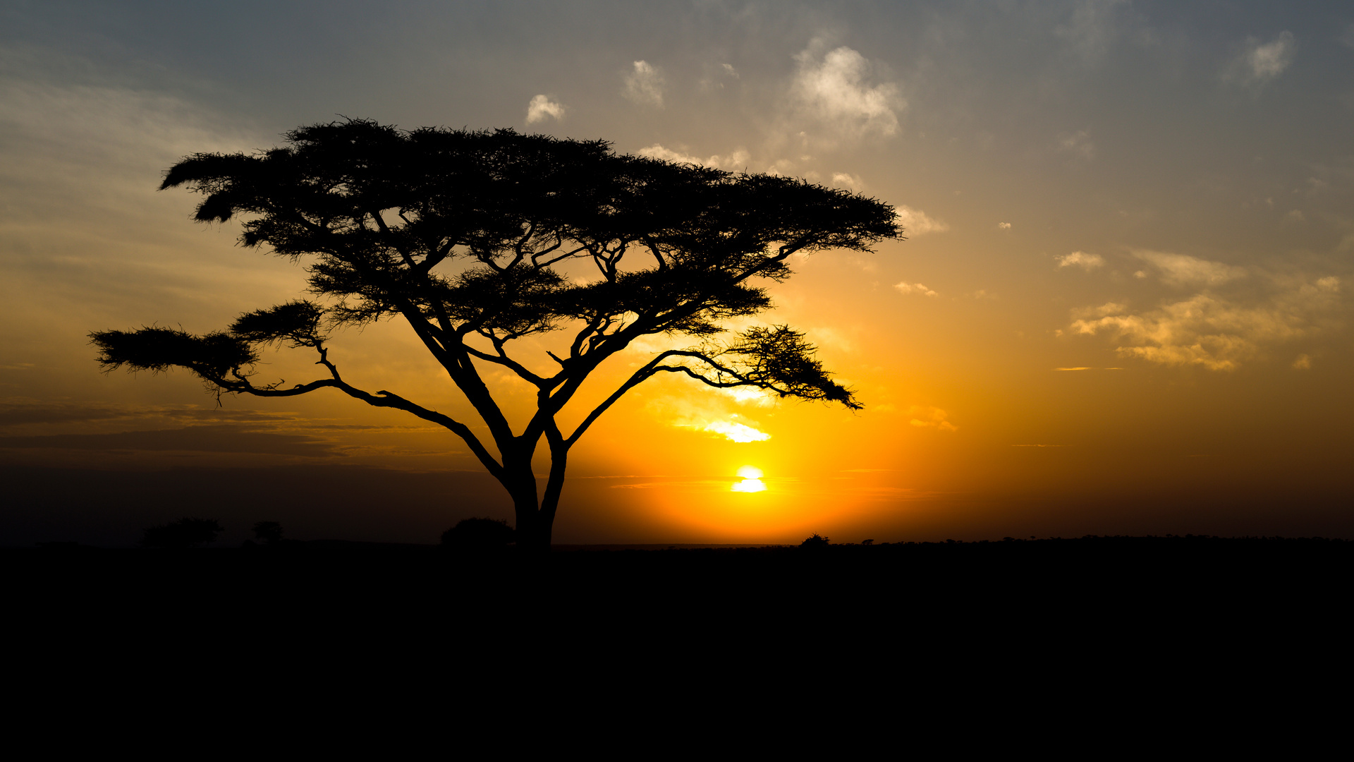 Sonnenaufgang in der Serengeti