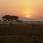 Sonnenaufgang in der Serengeti