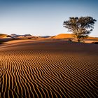 Sonnenaufgang in der Sossusvlei