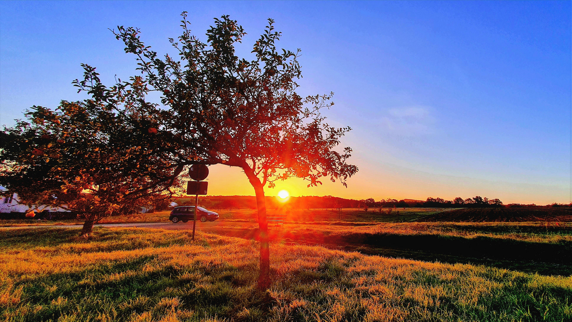 Sonnenaufgang in der Streuobstwiese