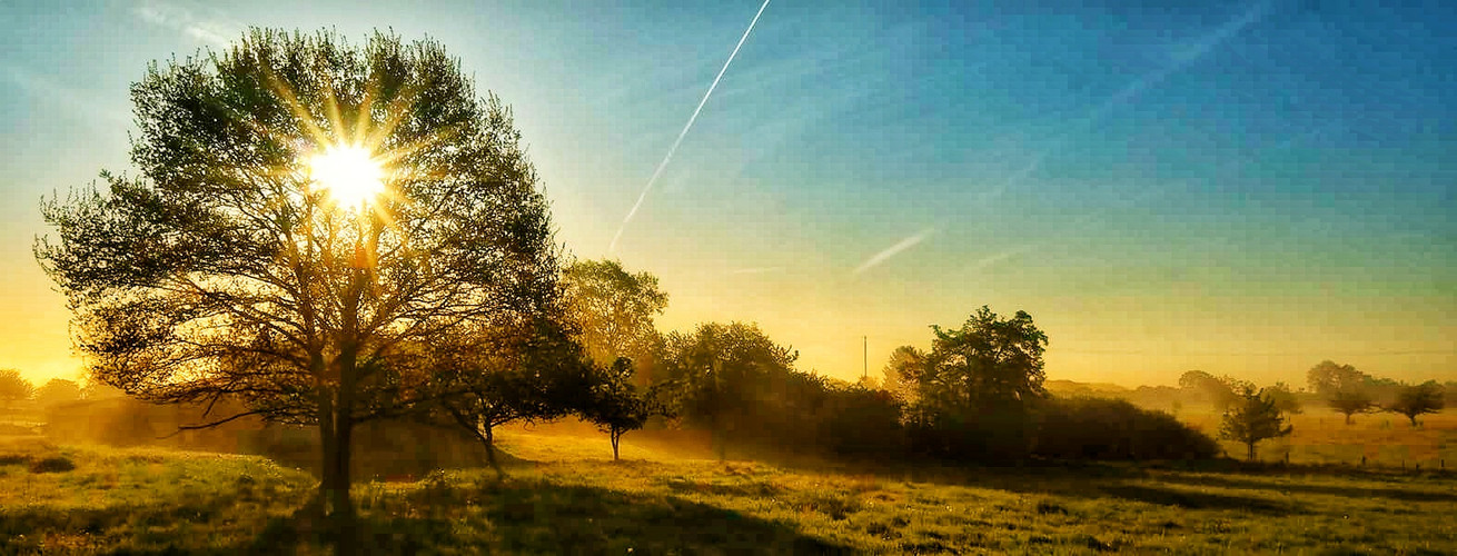 Sonnenaufgang in der Südeifel