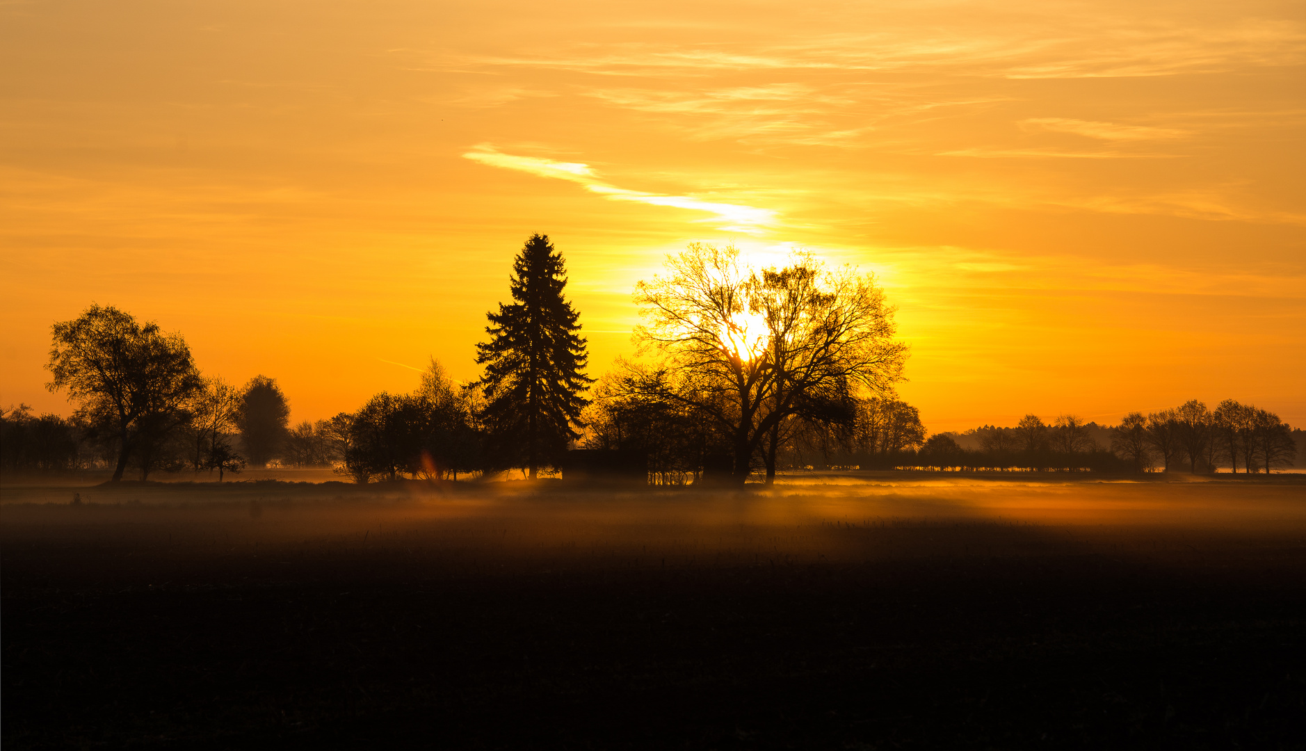 Sonnenaufgang in der Südheide