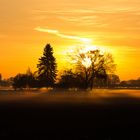 Sonnenaufgang in der Südheide