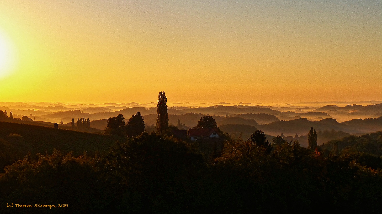 Sonnenaufgang in der Südsteiermark bei Glanz an der Weinstraße