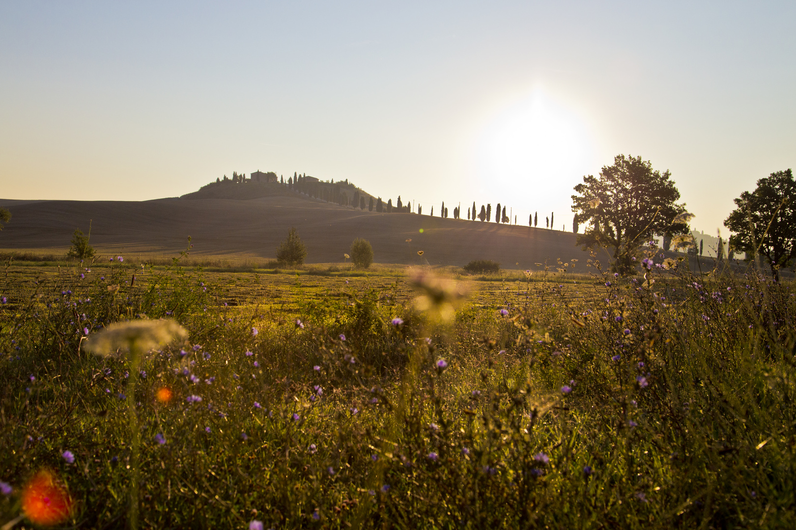 Sonnenaufgang in der Toskana