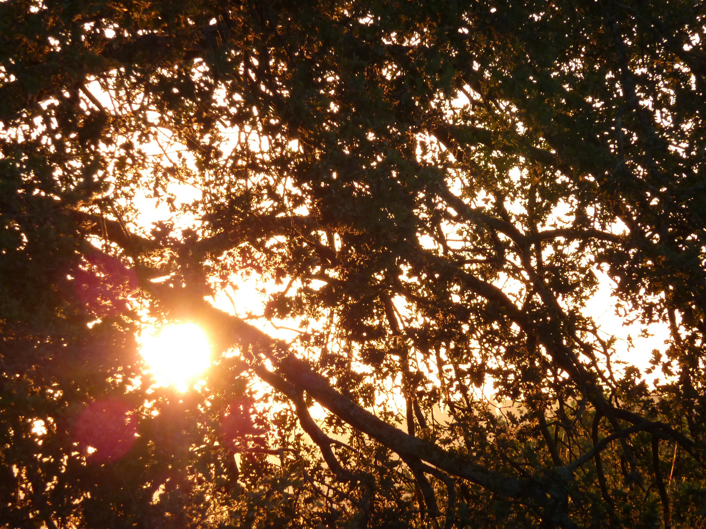 Sonnenaufgang in der Toskana