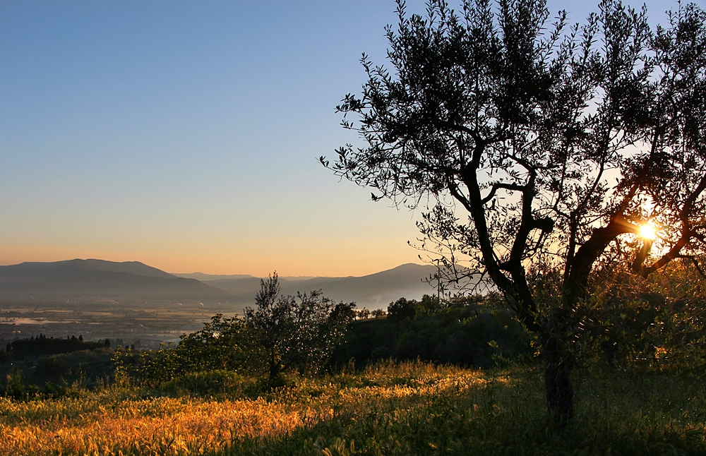 Sonnenaufgang in der Toskana