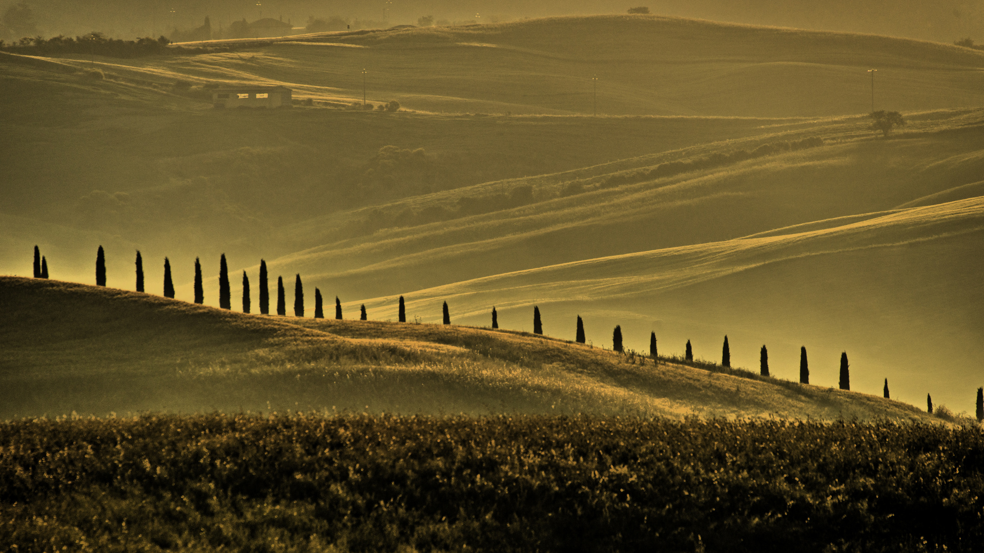 Sonnenaufgang in der Toskana in der Nähe von Pienza 2