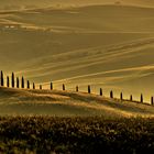 Sonnenaufgang in der Toskana in der Nähe von Pienza 2