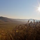 Sonnenaufgang in der Toskana5