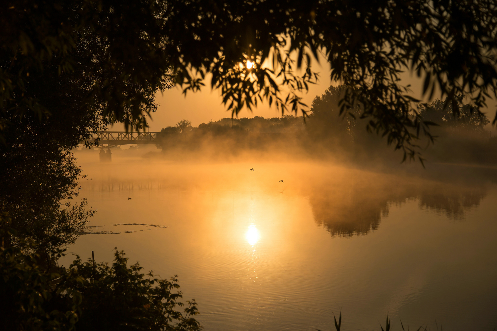 Sonnenaufgang in der Uckermark