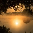 Sonnenaufgang in der Uckermark