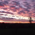 Sonnenaufgang in der Uckermark