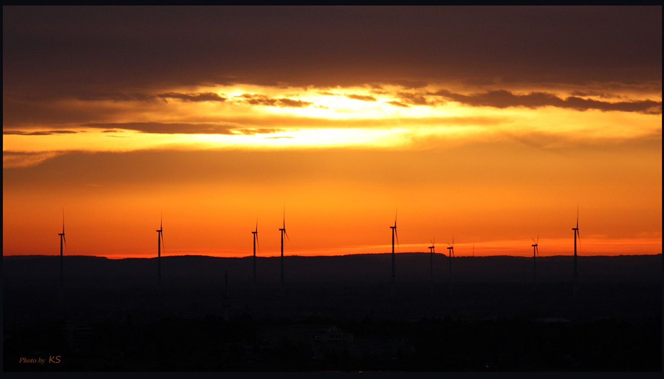 - Sonnenaufgang in der Vorderpfalz -